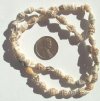 16 inch strand of Tiger Nasa Shells